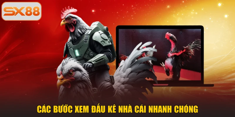 Các bước xem đấu kê nhà cái nhanh chóng