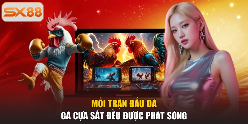 Mỗi trận đấu đá gà cựa sắt đều được phát sóng