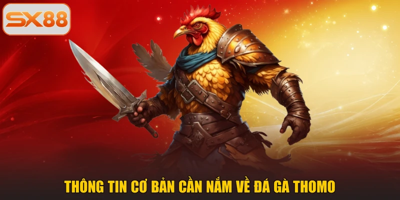 Thông tin cơ bản cần nắm về đá gà Thomo
